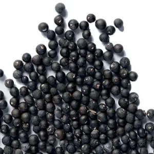 Asparagus densiflorus- Meyeri 10,000 seeds